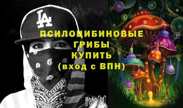 PSILOCYBIN Абдулино