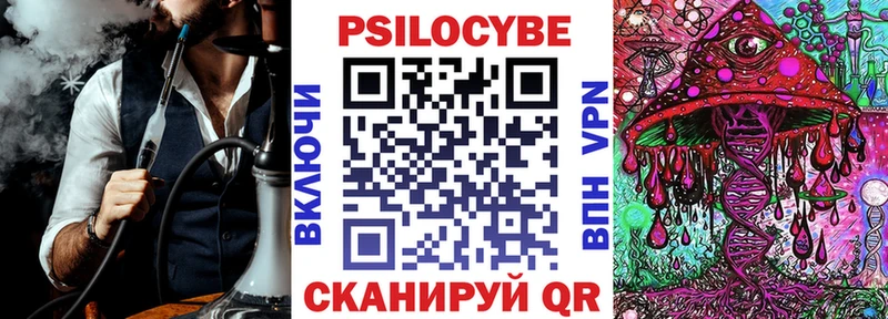 Псилоцибиновые грибы Psilocybine cubensis  наркота  Злынка 