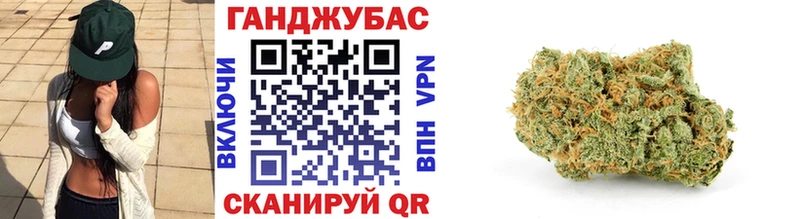 Бошки Шишки планчик  Злынка 